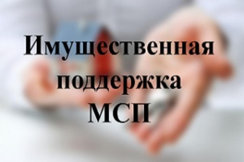 Имущественная поддержка субъектов МСП.
